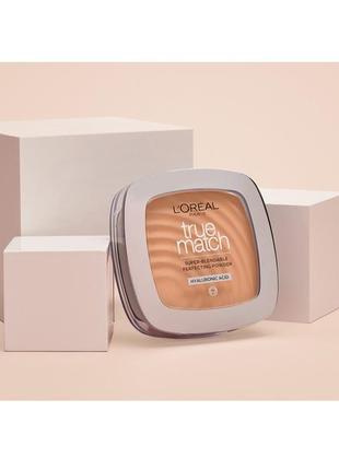 Компактная пудра с зеркалом l'oreal paris true match powder