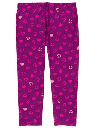 Яскраві лосини