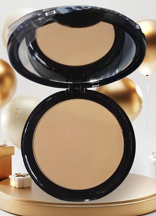 Topface пудра для обличчя компактна "instyle wet & dry powder" pt261