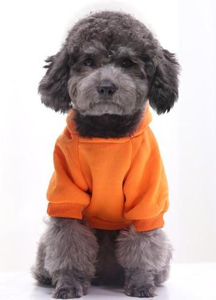 Оранжевый худи для собаки resteq. толстовка с капюшоном для собаки оранжевая кофта для домашних животных,2 фото