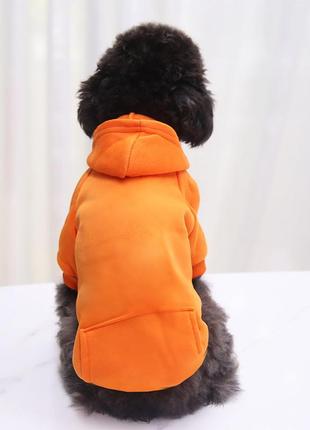 Оранжевый худи для собаки resteq. толстовка с капюшоном для собаки оранжевая кофта для домашних животных,4 фото