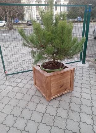 Деревянная кашпо для растений