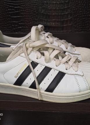 Кеди adidas superstar