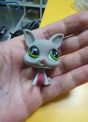 Игрушки littlest pet shop hasbro