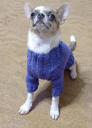 Шерстяные вязаные свитера для маленьких собачек5 фото