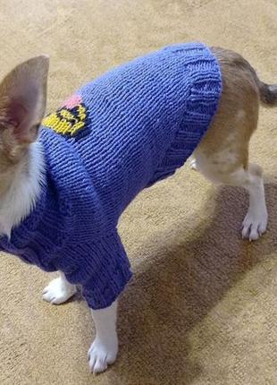 Шерстяные вязаные свитера для маленьких собачек6 фото