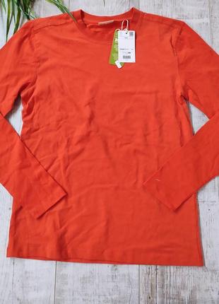 Лонгслів реглан