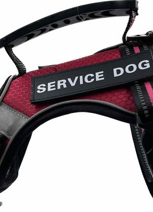 Шлейка для собак service dog s, m, l, xl, бордова, шлея для собак, нагрудник для середніх порід5 фото