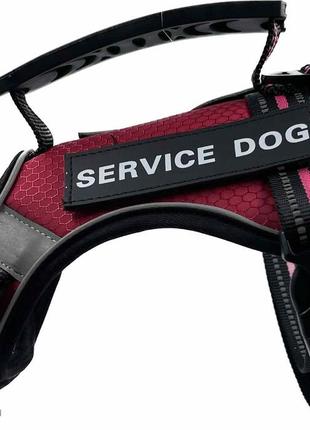 Шлейка для собак service dog s, m, l, xl, бордова, шлея для собак, нагрудник для середніх порід3 фото