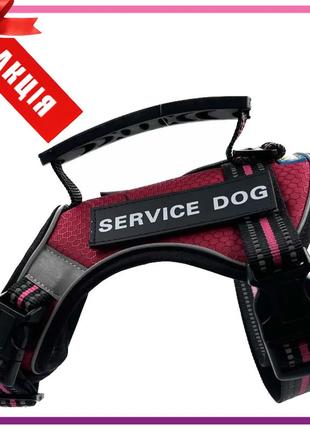 Шлейка для собак service dog s, m, l, xl, бордовая, шлей для собак, нагрудник для средних пород