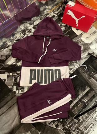 Puma