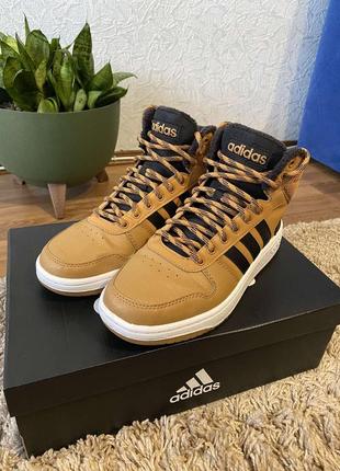 Кроссовки adidas hoops 2.0 mid