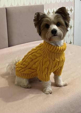 Вязаный свитер для собак ручной работы м1 фото