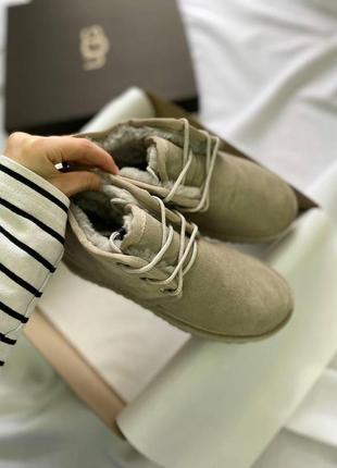 Жіночі угги ugg neumel