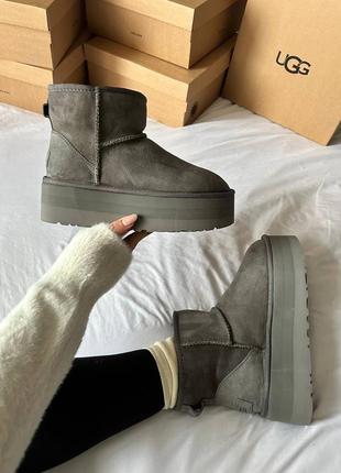 Женские угги ugg premium mini platform grey