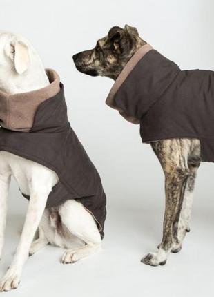 Зимнее пальто для собак cloud7, размер 52 фото