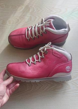 Черевики шкіряні timberland