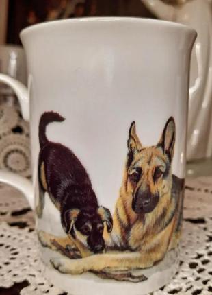 Чашка англия