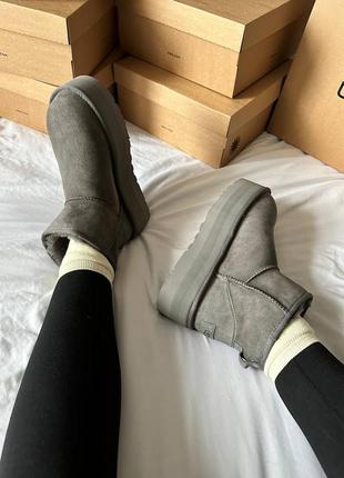 Угги угги угги угги ugg premium mini platform grey3 фото