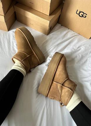 Угги угги угги угги ugg premium mini platform beige2 фото