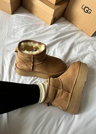 Угги угги угги угги ugg premium mini platform beige9 фото