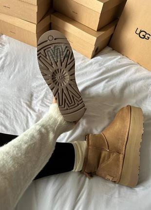 Угги угги угги угги ugg premium mini platform beige10 фото