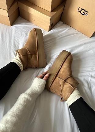 Угги угги угги угги ugg premium mini platform beige3 фото