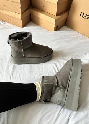 Ugg premium mini platform grey4 фото