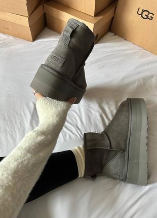 Ugg premium mini platform grey2 фото