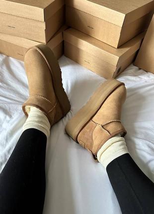 Ugg premium ultra mini platform beige6 фото