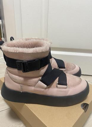 Ugg оригинал