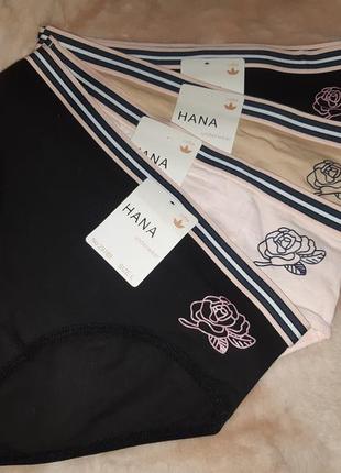 Набір із чотирьох трусиків жіночі сліпи хіпстери hana спідня білизна нижня білизна