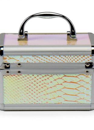Кейс-шкатулка "луска"