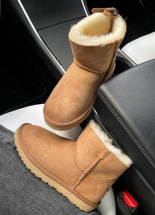 Уггі угги угг ugg mini chestnut zip7 фото