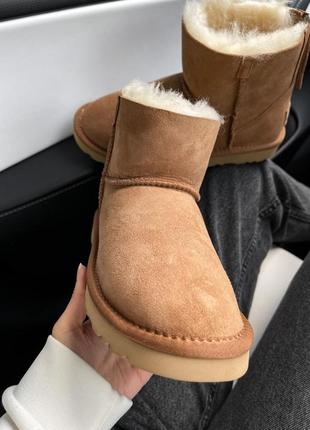 Уггі угги угг ugg mini chestnut zip4 фото