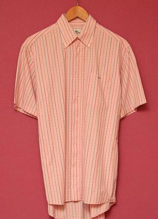 Lacoste рр 41 l-xl рубашка из хлопка