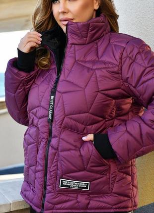 Жіноча зимова стьобана куртка на блискавці з трикотажними манжетами великі розміри 48-589 фото