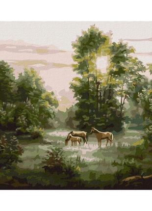 Картина по номерам "рассвет" ©сергей лобач идейка kho4362 40х50 см