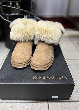 Угг  koolaburra 2