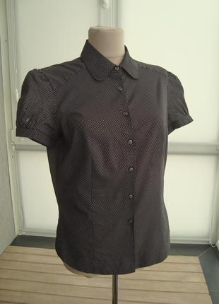 Tommy hilfiger, оригинал, рубашка, размер 8, m.