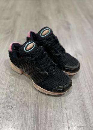 Кроссовки adidas climacool