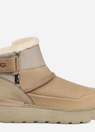 Сапоги ugg (угги)2 фото