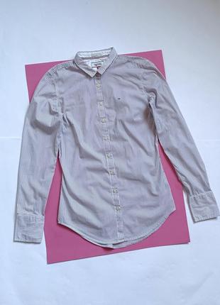 Супермодна брендова сорочка у смужку xs tommy hilfiger