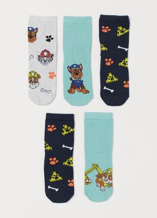 34-36 р h&amp;m новые фирменные носки с против скольжения 5 шт пар paw patrol щенячий патруль