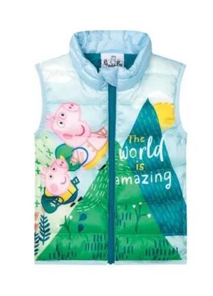 Жилет свинка пеппа

. теплий жилет.