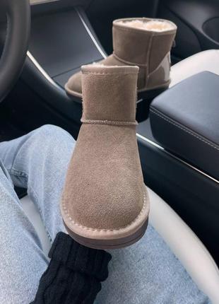 Уггі угги угг ugg mini4 фото