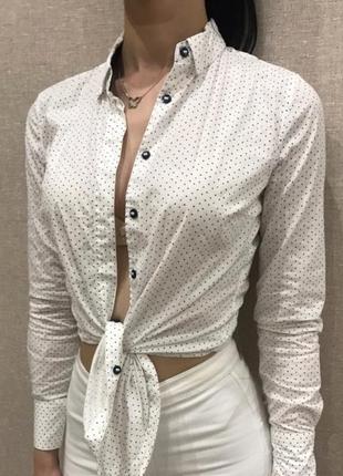 Рубашка colin's 2