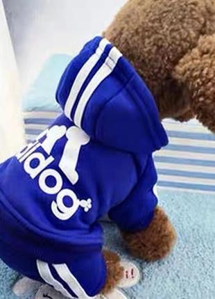 Спортивный костюм для собаки. одежда для собаки .синий