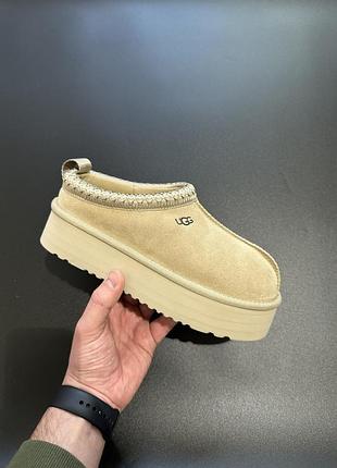 Ugg tasman platform xl beige
