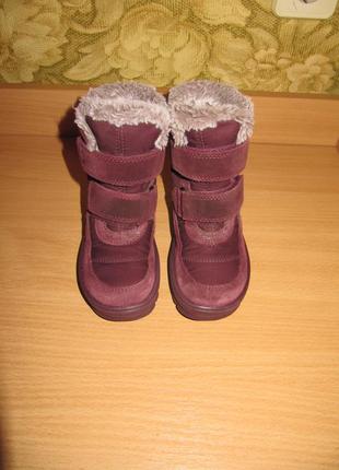 Зимние термо ботинки суперфит superfit flavia3 фото